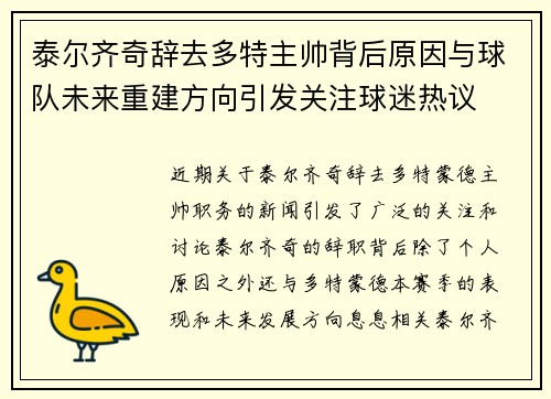 泰尔齐奇辞去多特主帅背后原因与球队未来重建方向引发关注球迷热议 泰尔齐奇辞去多特主帅背后原因与球队未来重建方向引发关注球迷热议